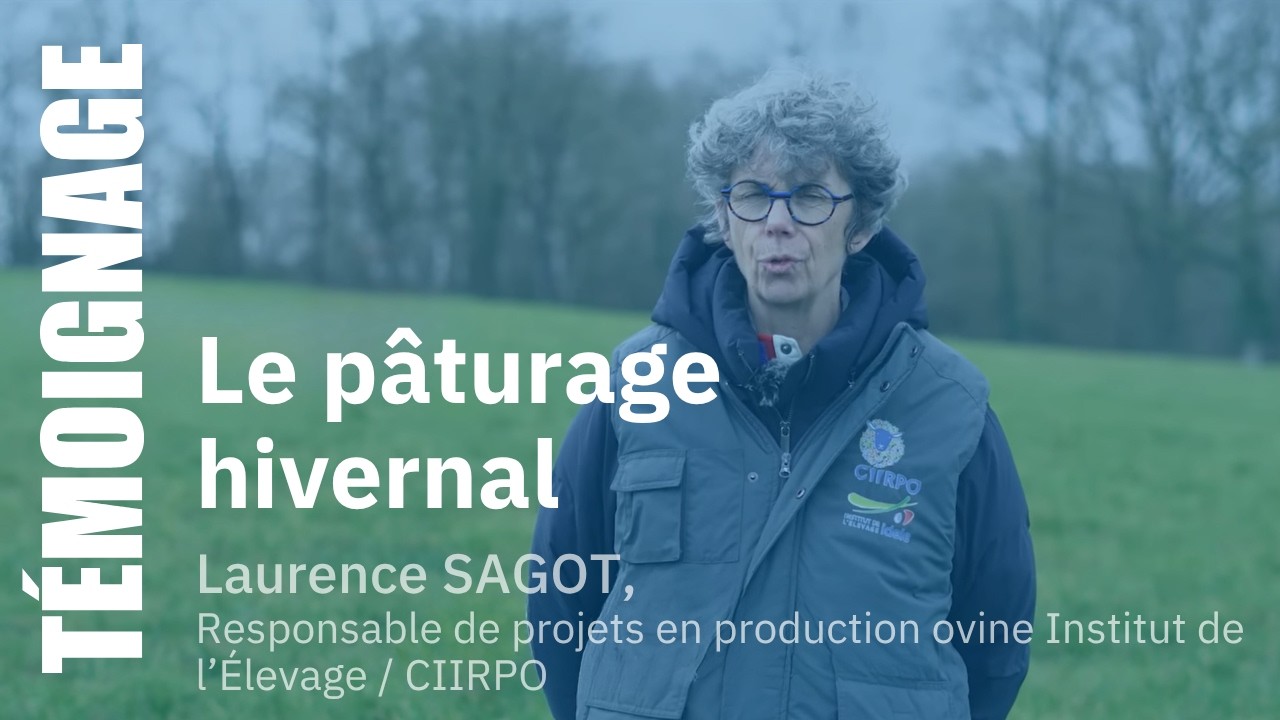 Leviers d'adaptation au changement climatique #1 - Zoom sur le pâturage hivernal