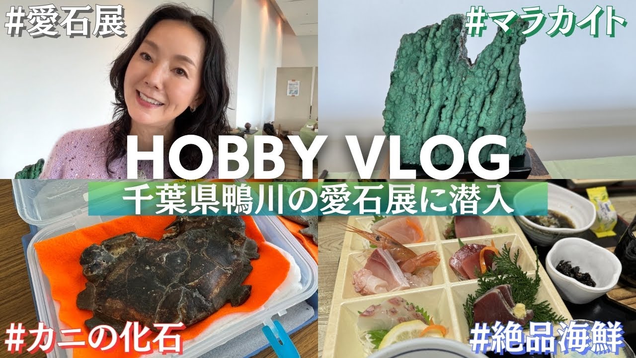 【VLOG】巨大マラカイト！一万年前のカニの化石？千葉県鴨川の文化ホールで開催した愛石展を潜入レポート