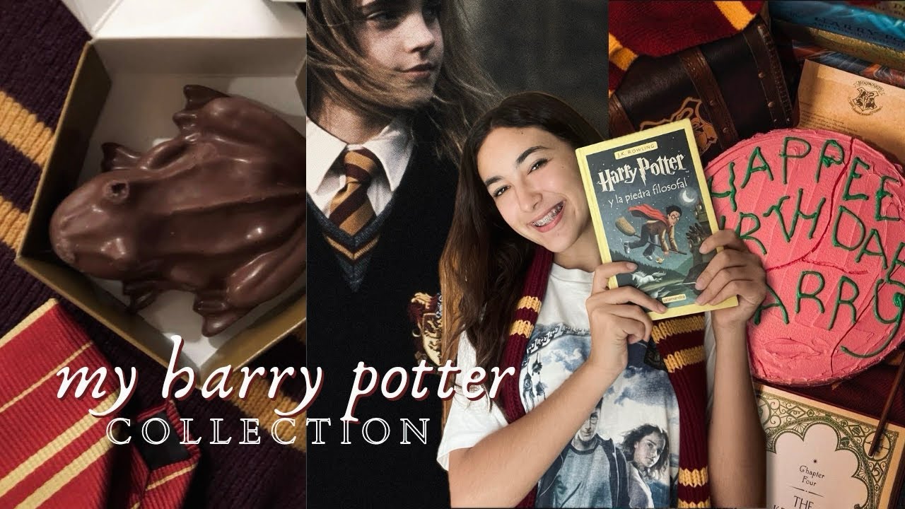 my harry potter collection! ⚡️❤️‍🩹🏰🦁 || alba’s wonderland