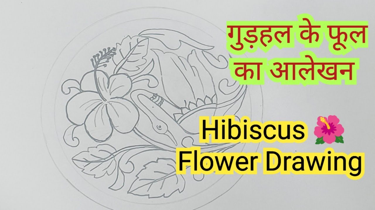 वृत में गुड़हल के फूल का आलेखन/Hibiscus 🌺 Flower Drawing in Circle 