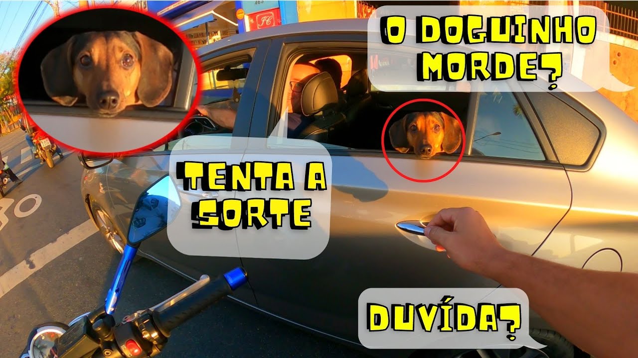 MOTOvlog Saudável Sem Palavrões ou Xingamentos [como gravar Motovlog]