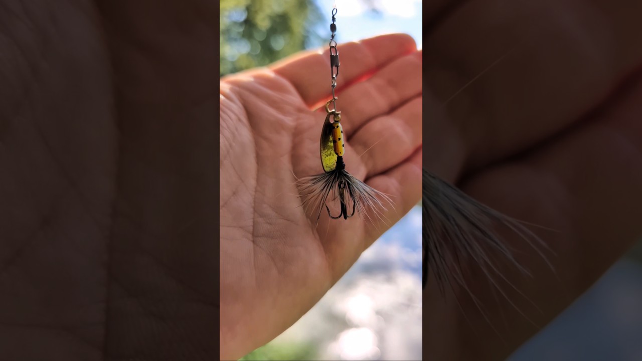 Fishing with Rooster tail and Catching a Bass #fishing