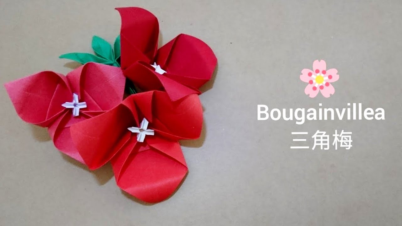 Origami Bougainvillea / Paper Triangle plum 折纸三角梅(V2)