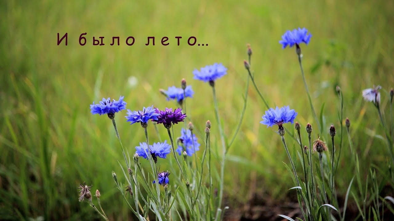 И было лето...  Музыка Карена Саркисяна.