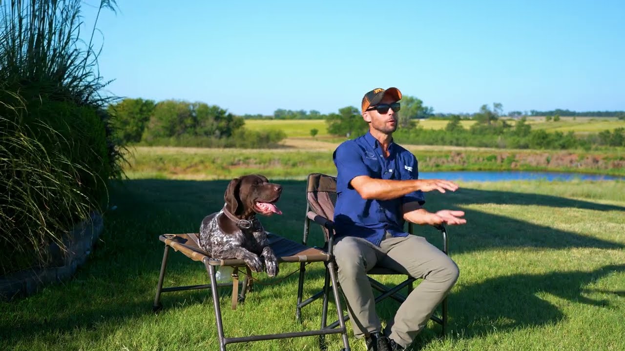 TOP 10 Bird Dog Training Mistakes to Avoid #4 DON'T OVERDO IT!!!