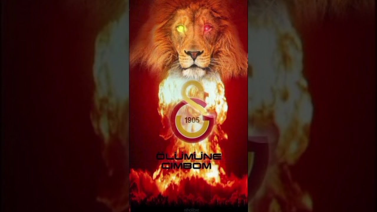 Cimbomun çocukları