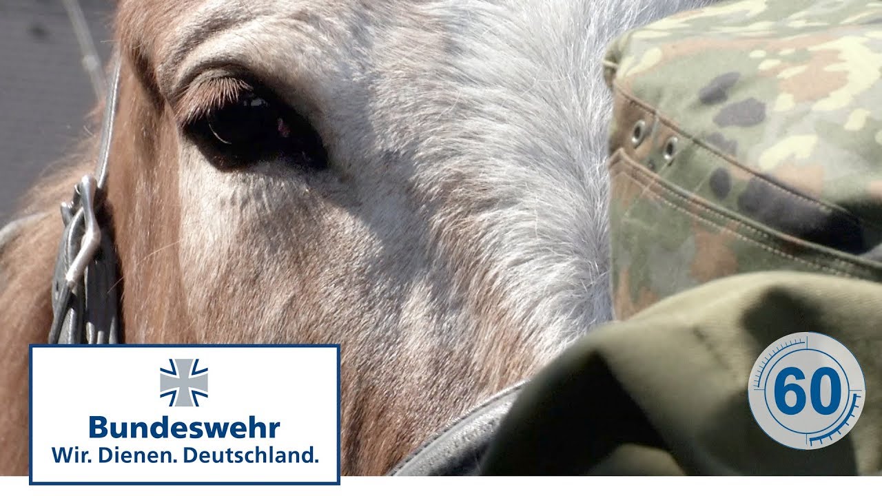 60 Sekunden Bundeswehr: Muli - das Tragtier der Gebirgsjäger