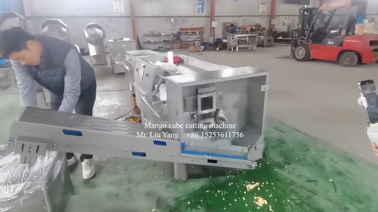 Mango cube cutting machine 20230226