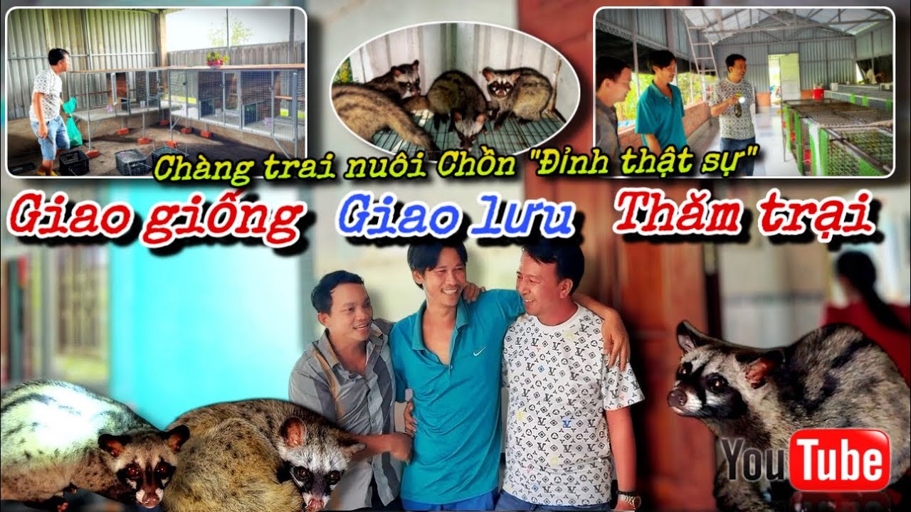 Sau 1 năm Nuôi Chồn cực kỳ VIP đẳng cấp - Lời nhận định cùng Kết hợp chuyến giao Chồn giao lưu(P123)