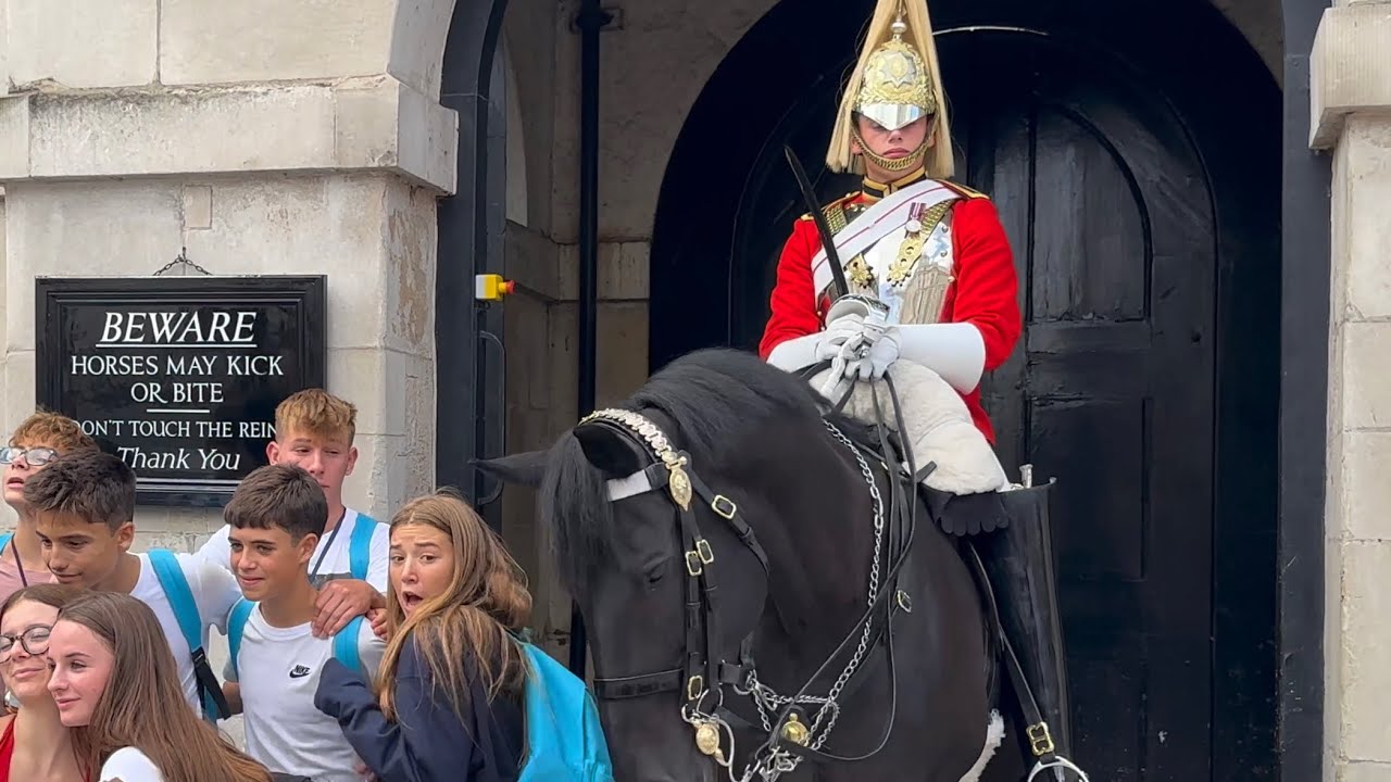 Watch What Made The King’s Guard Smile