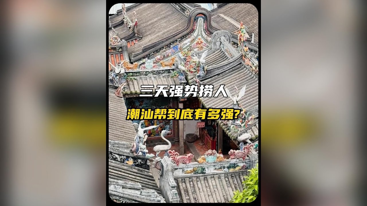 只用三天強勢撈人的潮汕幫實力到底有多強？#潮汕  #潮商