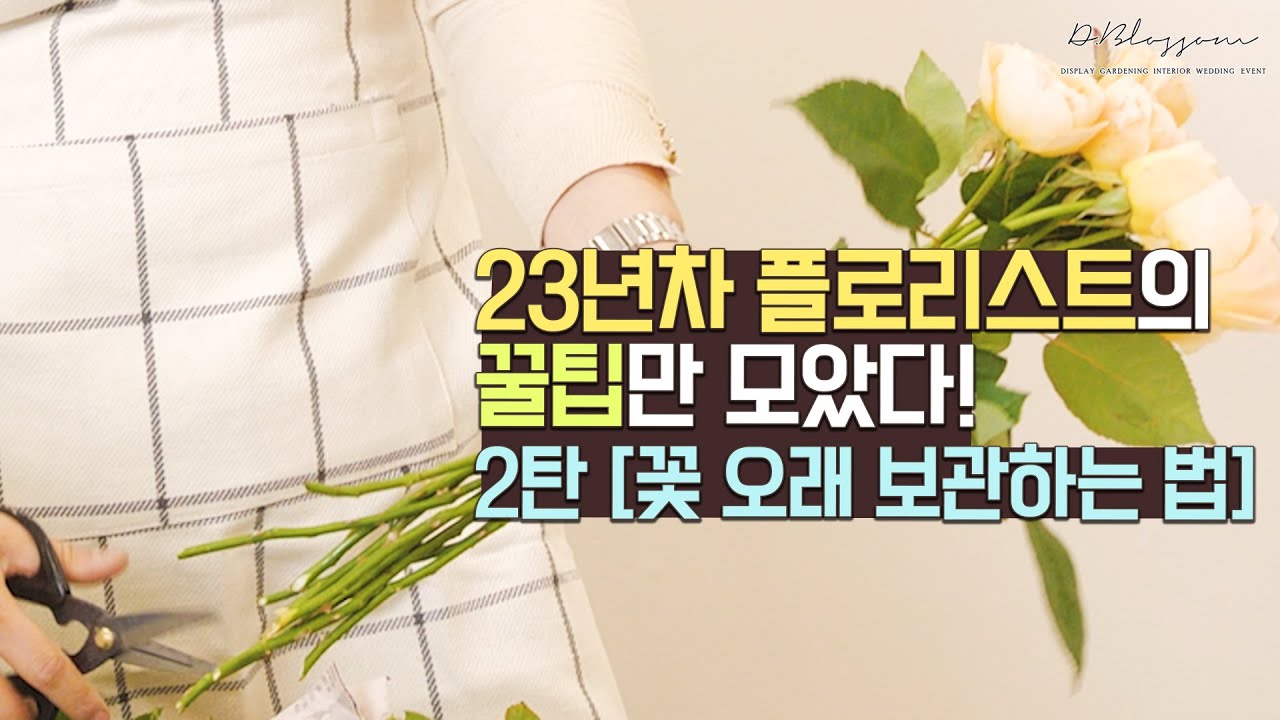 꽃 컨디셔닝💐 23년차 플로리스트의 꽃 손질하는 꿀팁! ㅣ꽃 오래 보관하는 법ㅣ강남 꽃시장