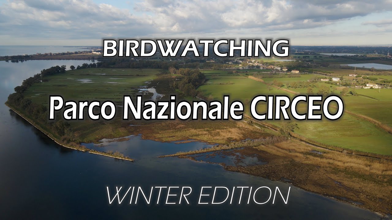 Parco Nazionale del Circeo | Winter Edition | Birdwatching & Bird Videos