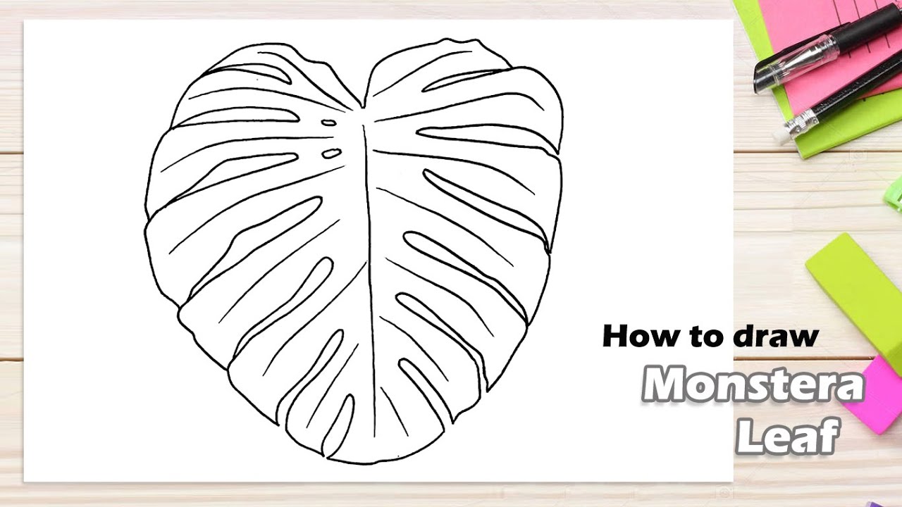 How to draw Monstera Leaf