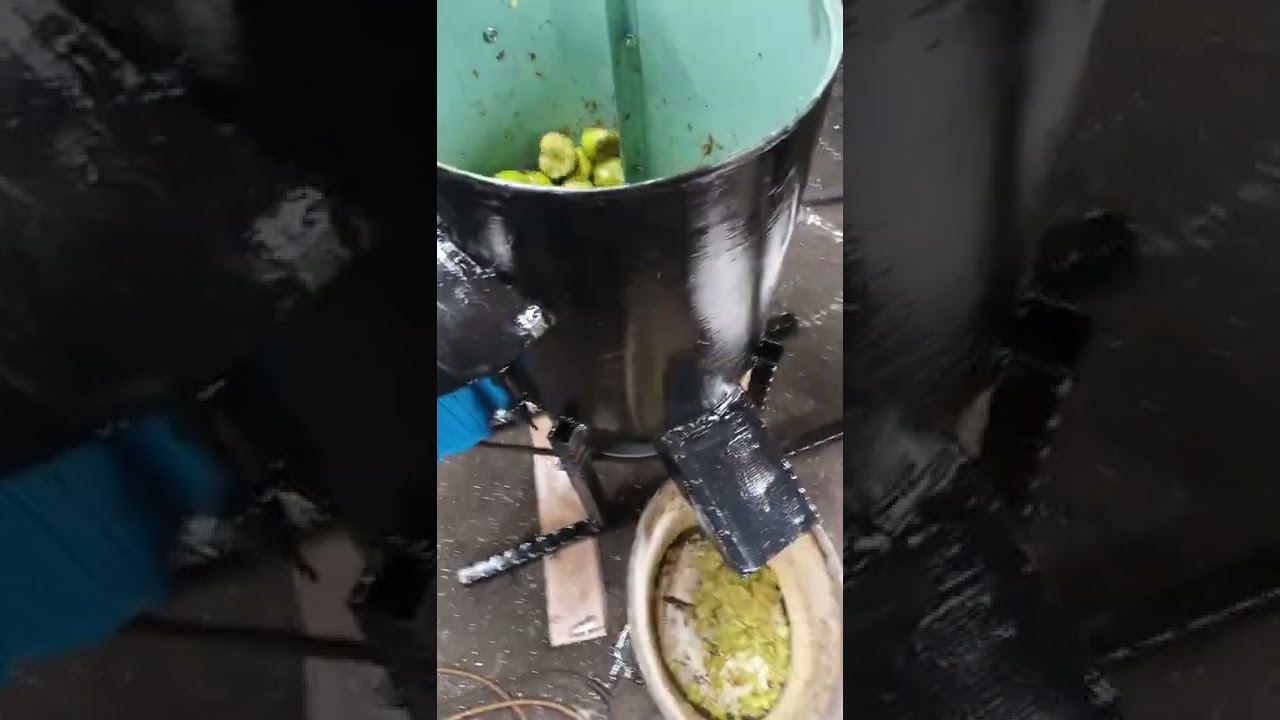 mlin za voće može odvajati ko&scaron;pe &scaron;ljive