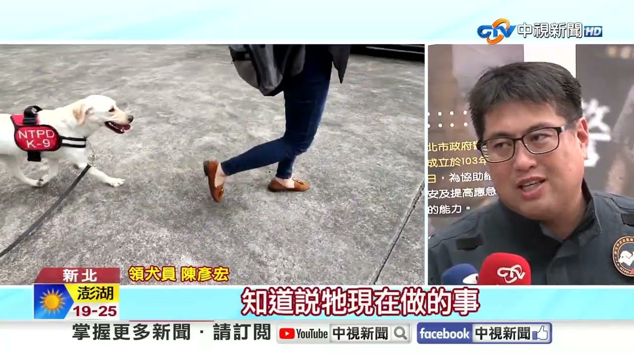 國家級神犬