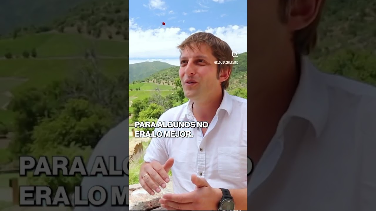 C&oacute;mo guardar la botella de vino?  Cap&iacute;tulo completo &ldquo;Categor&iacute;a y calidades &ldquo; en nuestro canal 🍷