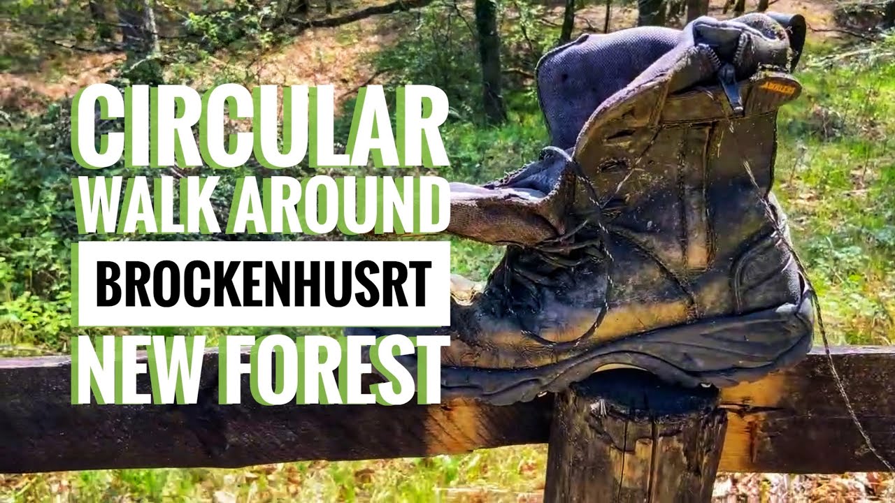 Getting Lost in Brockenhurst | Circular Walk in the New Forest + Glucose Updates & Local Legend