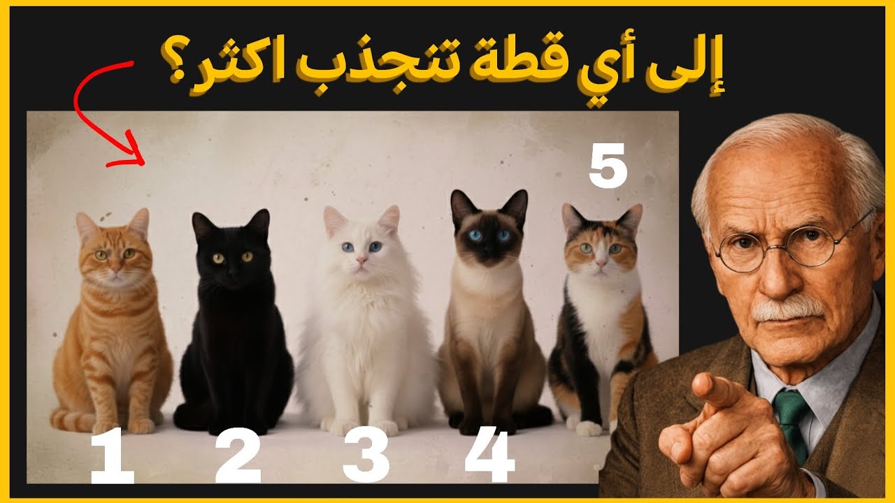 إلى أي قطة تنجذب؟ ما تخفيه يكشفه كارل يونغ - علم النفس
