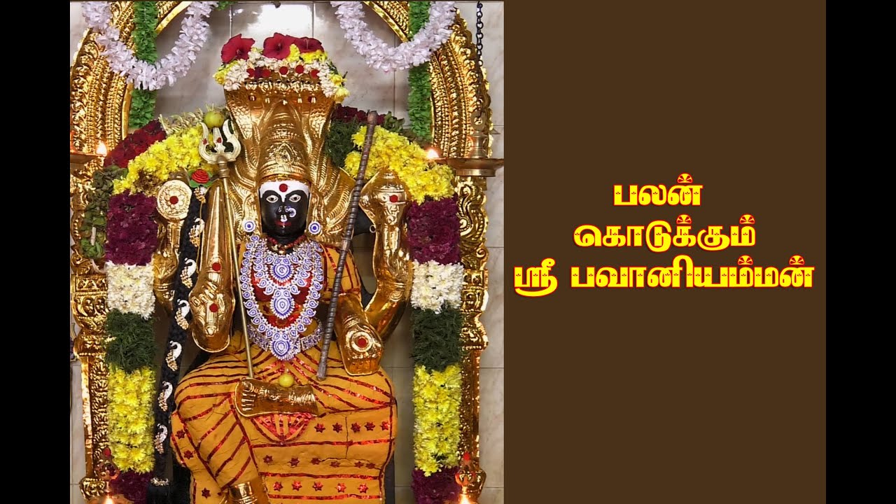 Bavani amman kovil Veerapuram h.t.tv