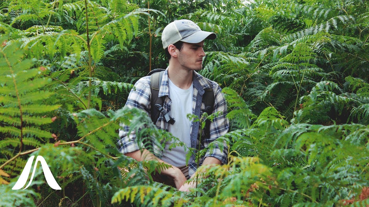 PLANTS ARE LISTENING TO YOU