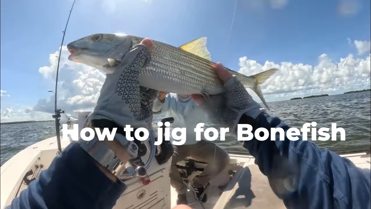 How to Jig for Bonefish using Live Shrimp 