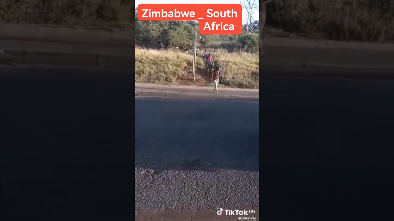Crossing The Zimbabwe and South Africa Border 🇿🇦 🇿🇼
