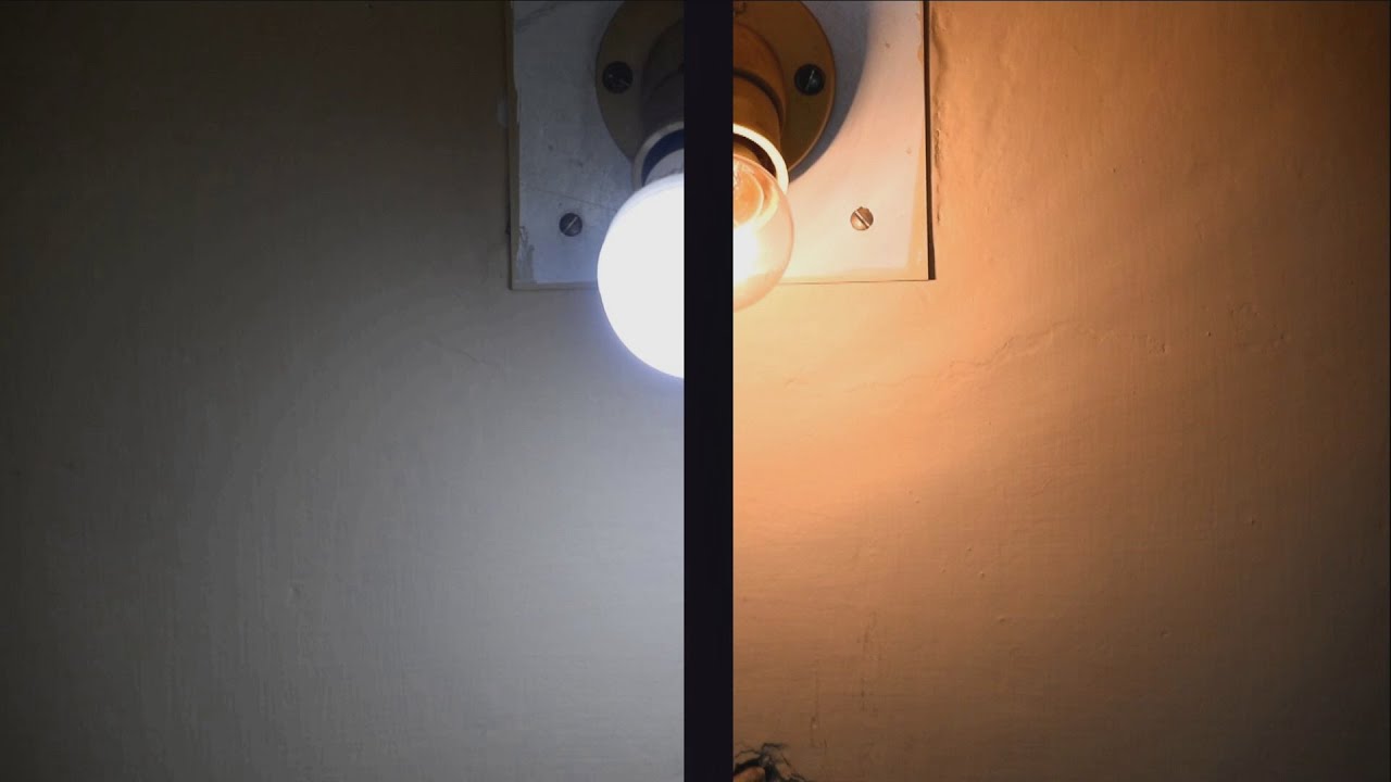 INSTEAD | Short film on Environmental Sustainability  | YIAC Open Category | TIC