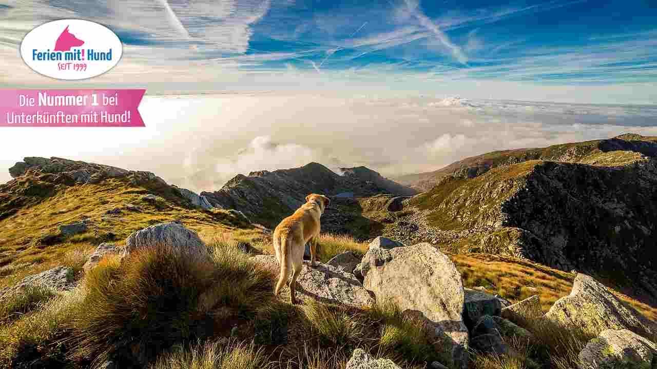 BAYERN MIT HUND - Ferienwohnungen und Ferienhäuser in den Bergen