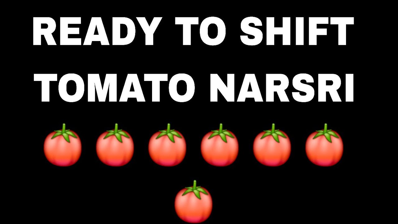 Tomato paneri is ready to shift now INSHAALLAH  Tomandjerry