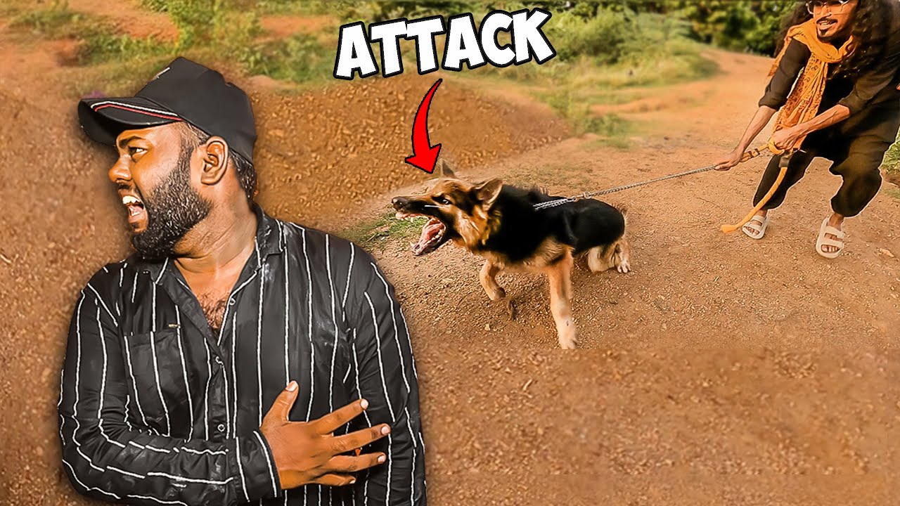 I CAN'T BELIEVE IT. My Dog Attacked🐺 Me..!