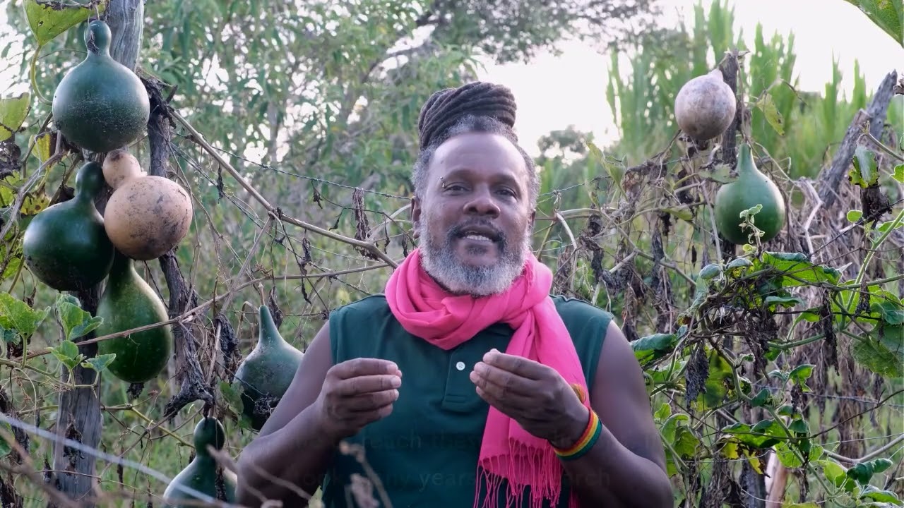 Material de Estudo / Bateria dus Antigo