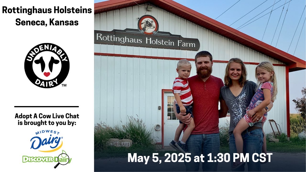 Rottinghaus Holstein Farm - Adopt A Cow Live Chat 2025