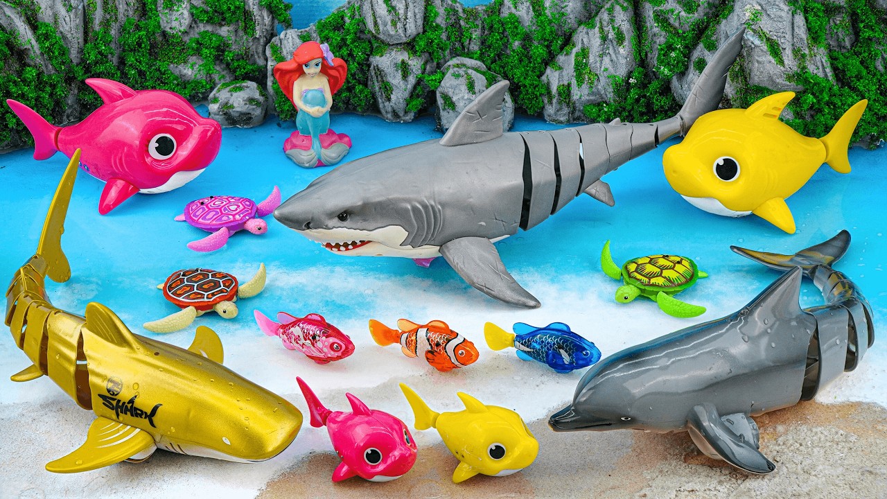 【TOY ASMR】Baby Shark & RC Dolphin& Robo Fish & Sea Animal Toys Collection | Satisfying With Unboxing