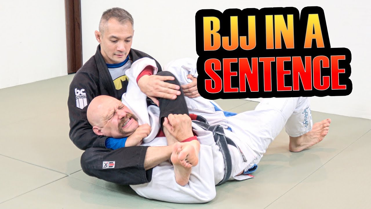 The Ultimate BJJ Beginner’s Guide Part 6 - BJJ In A Single Sentence