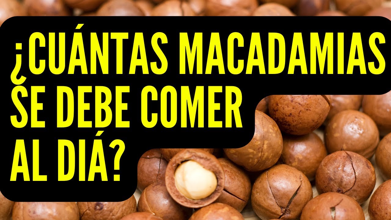 Nuez de Macadamia: &iquest;Cu&aacute;ntas comer al d&iacute;a? (La cantidad ideal)😎