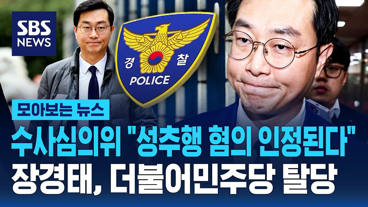 수사심의위 