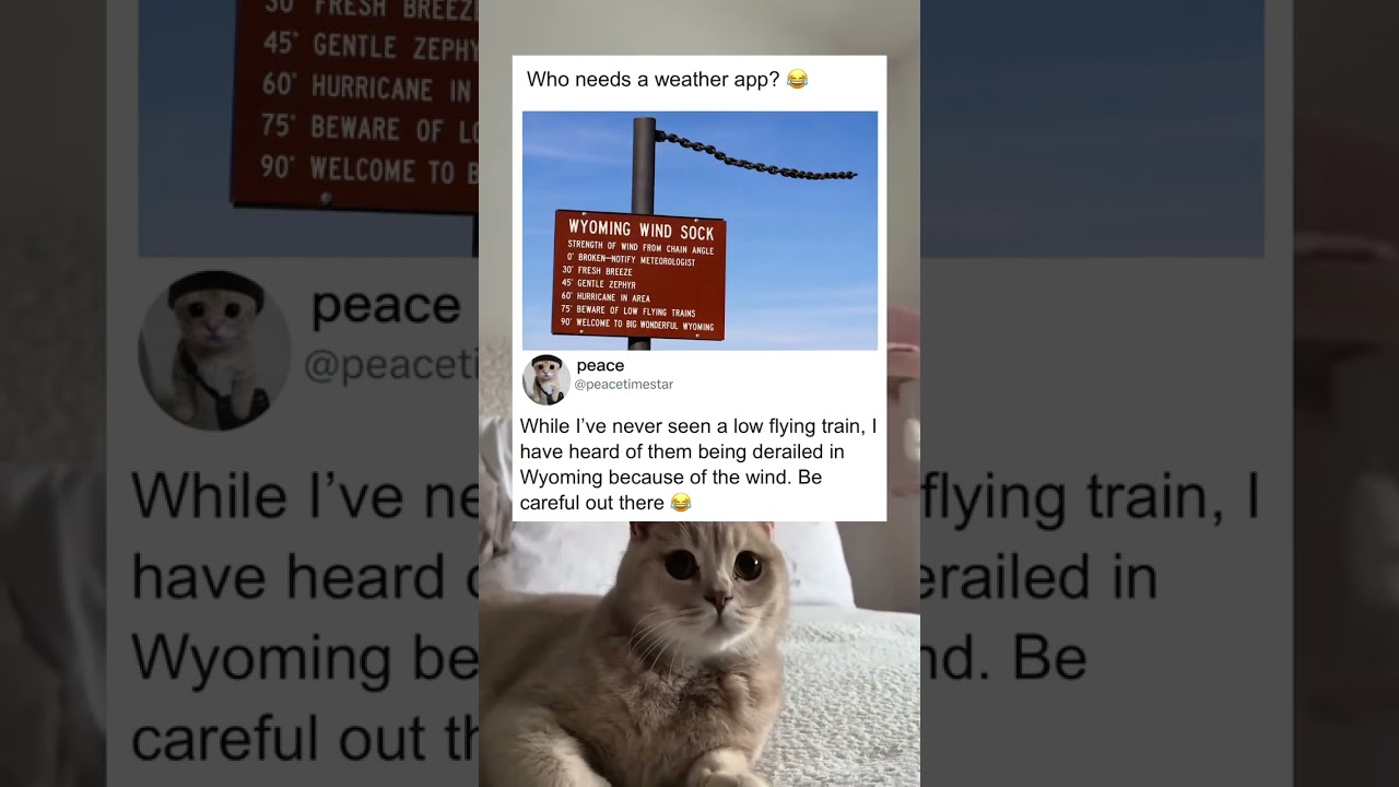 This replaced the local weather forecast