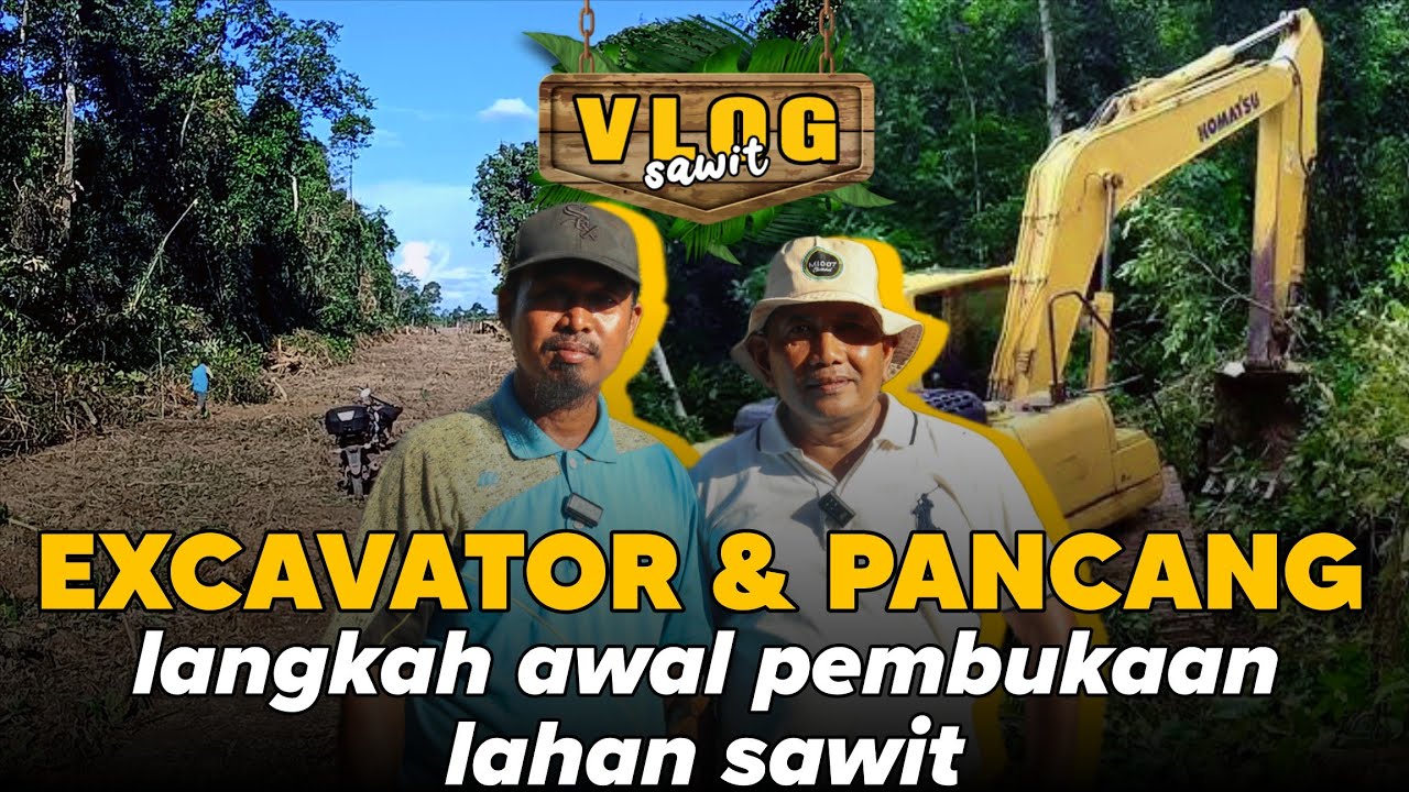 VLOG 51 : Excavator & Pancang, Langkah awal pembukaan lahan sawit
