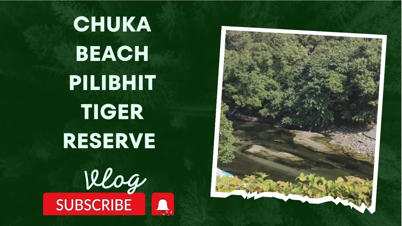 Chuka Beach Pilibhit tiger reserve,one day visit 2023