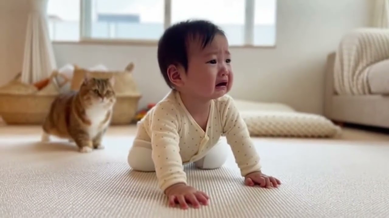 猫はなぜこうする？ 母猫にとって赤ちゃんは子猫と一緒