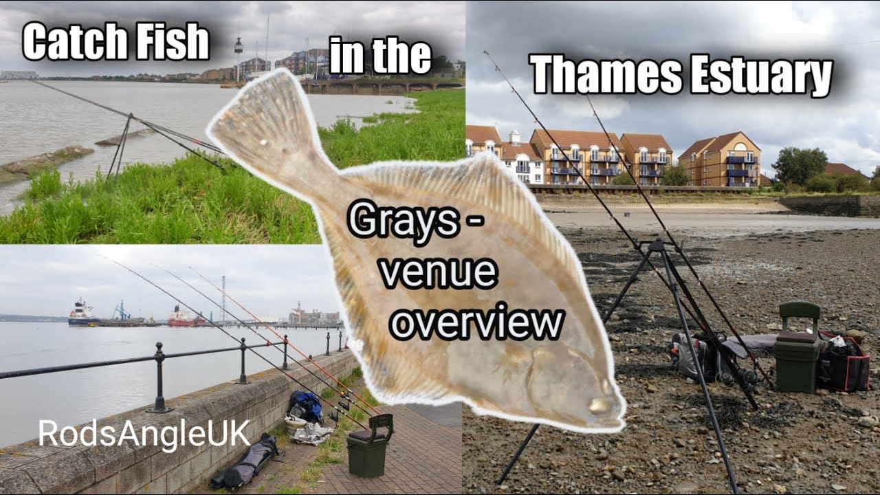 Catch Fish in the Thames Estuary: GRAYS - venue overview (summer 2021)
