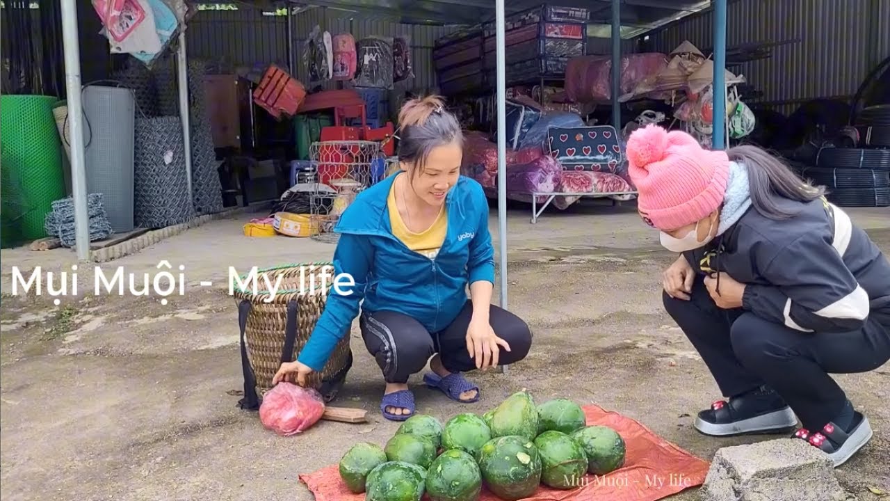 Single mother goes to harvest fruit and sells it, many people love it and buy it - Mui Muoi