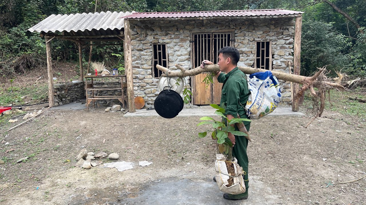 Returning to the forest after two years, they renovated the house, built a new garden and a new farm