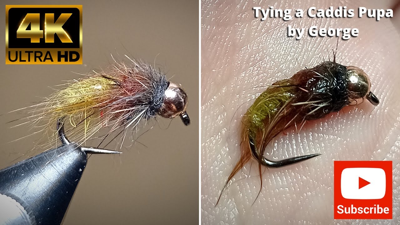 Tying a Caddis pupa by George SLF 4K