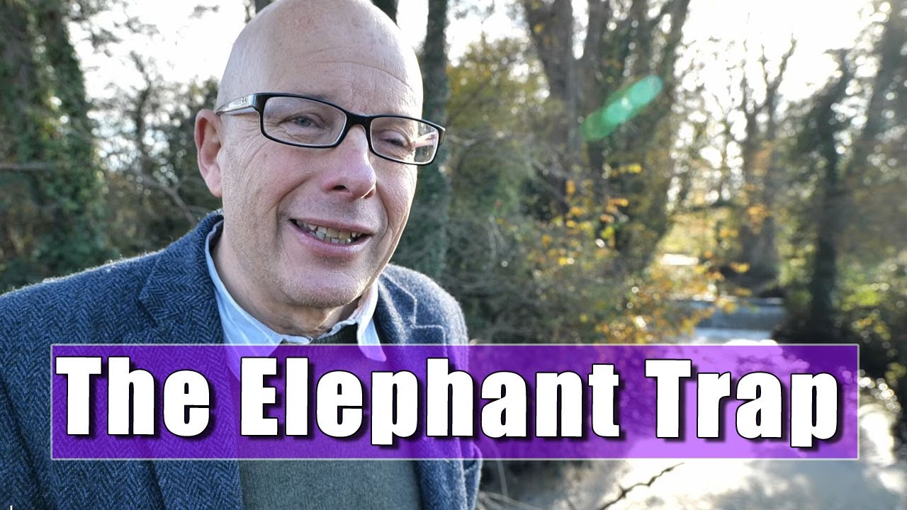 Exploring Denne Park and Chesworth Farm Wetlands in Horsham, Sussex.