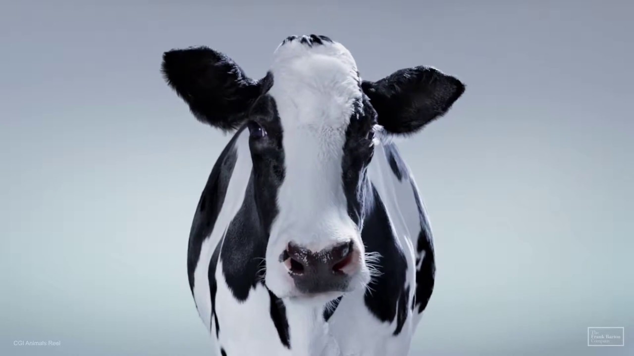 The Frank Barton Company - CGI animals reel 2018