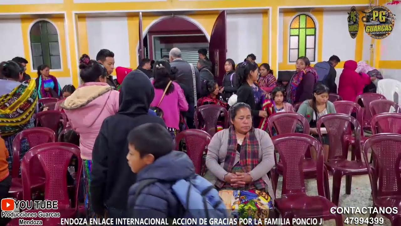 TRANSMISONE EN VIVO