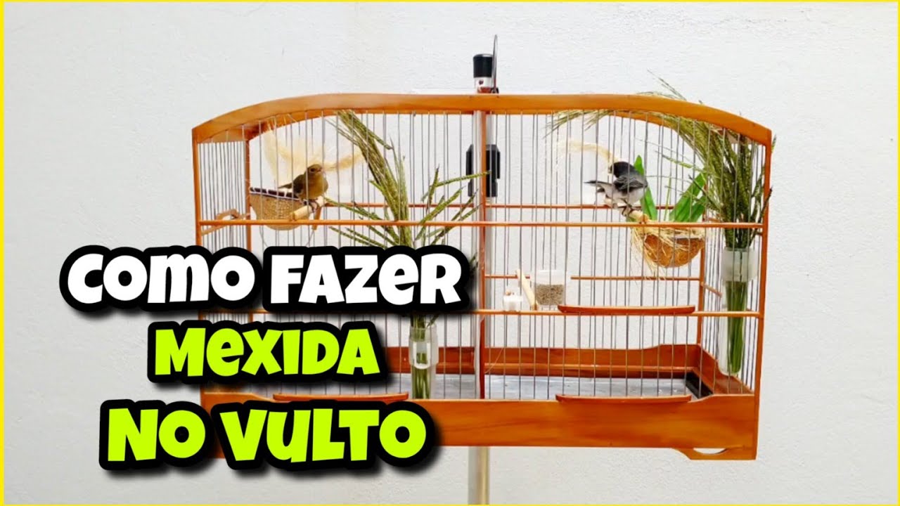 COMO FAZER A MEXIDA NO VULTO DA MANEIRA CORRETA . 