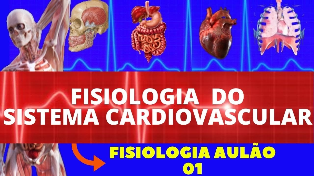 FISIOLOGIA CARDIOVASCULAR (AULÃO COMPLETO) FISIOLOGIA DE GUYTON - FISIOLOGIA HUMANA